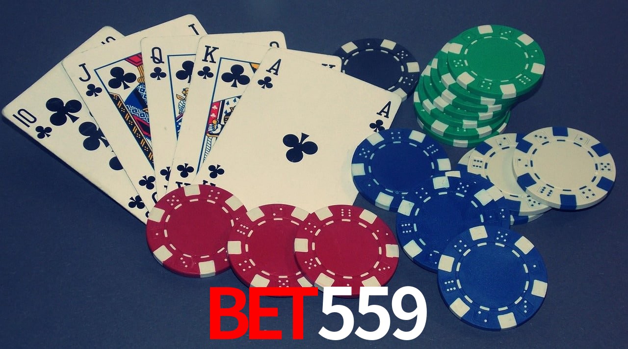 Sports Statistics bet559